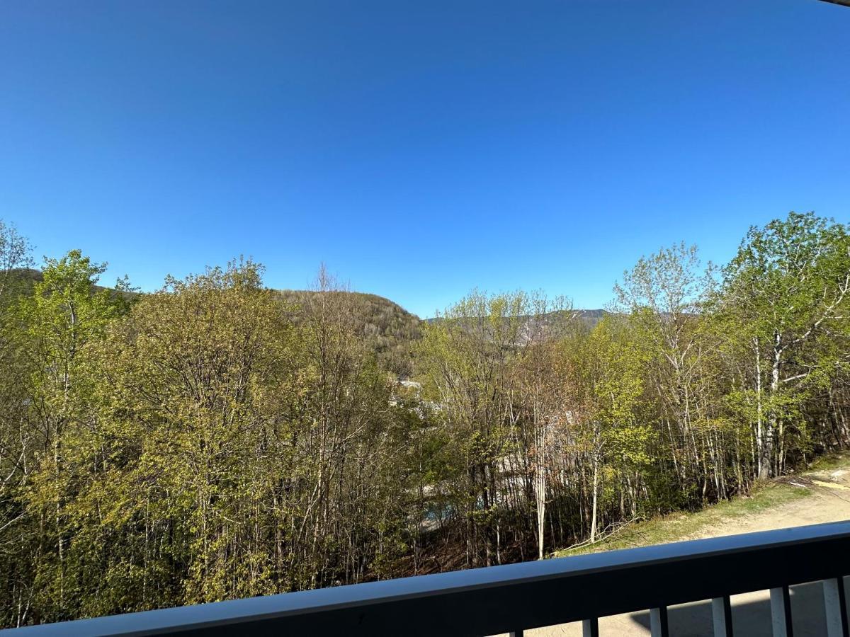 Le Beachside By Gestion Elite Mont-Tremblant Bagian luar foto